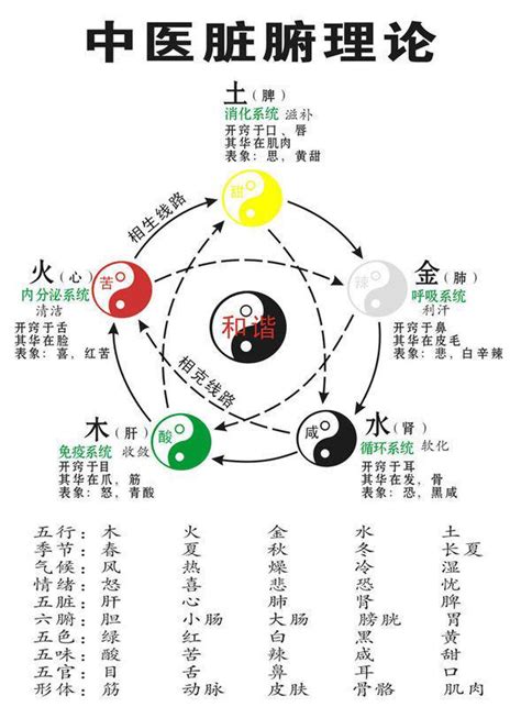 中醫陰陽五行學說|中醫基礎/陰陽學說